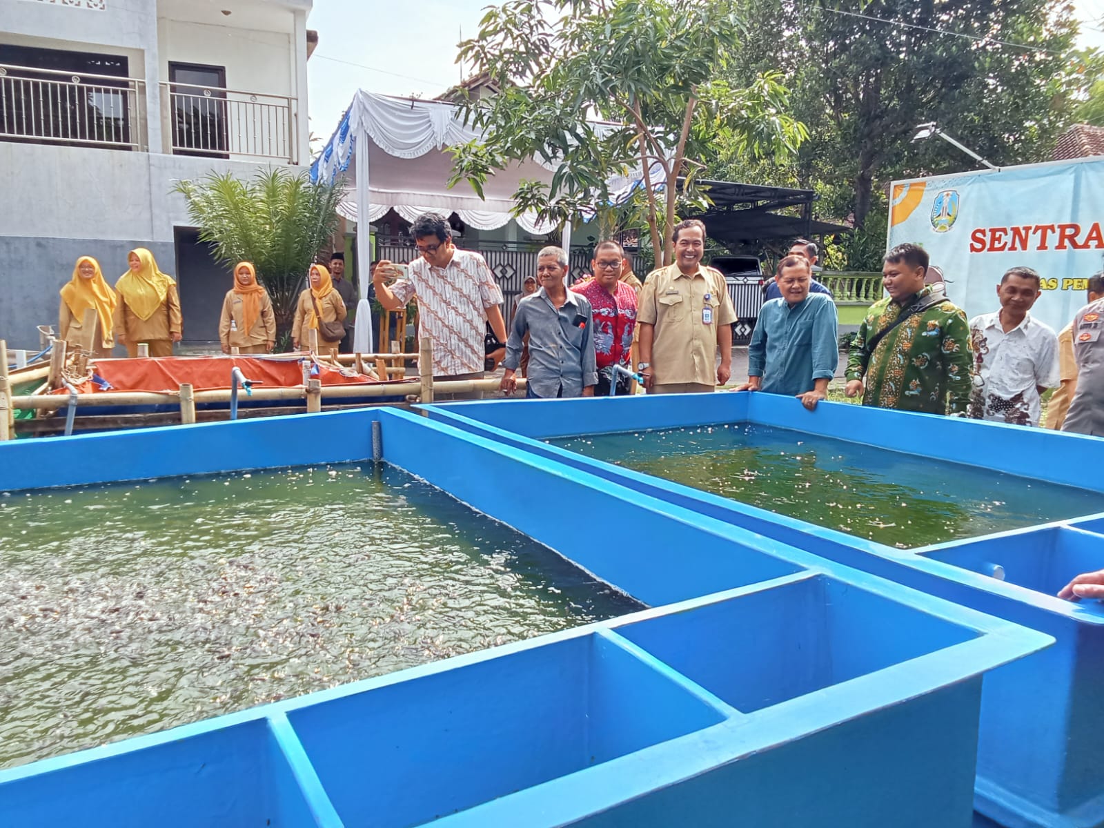 Desa Kauman Berdaya, Lele Sebagai Mesin Penggerak Kesejahteraan Lokal